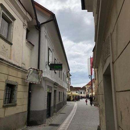 Apartma Linhartov Trg Radovljica Exterior foto